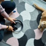 Electric Pet Door Not Responding? Sensor and Power Supply Troubleshooting