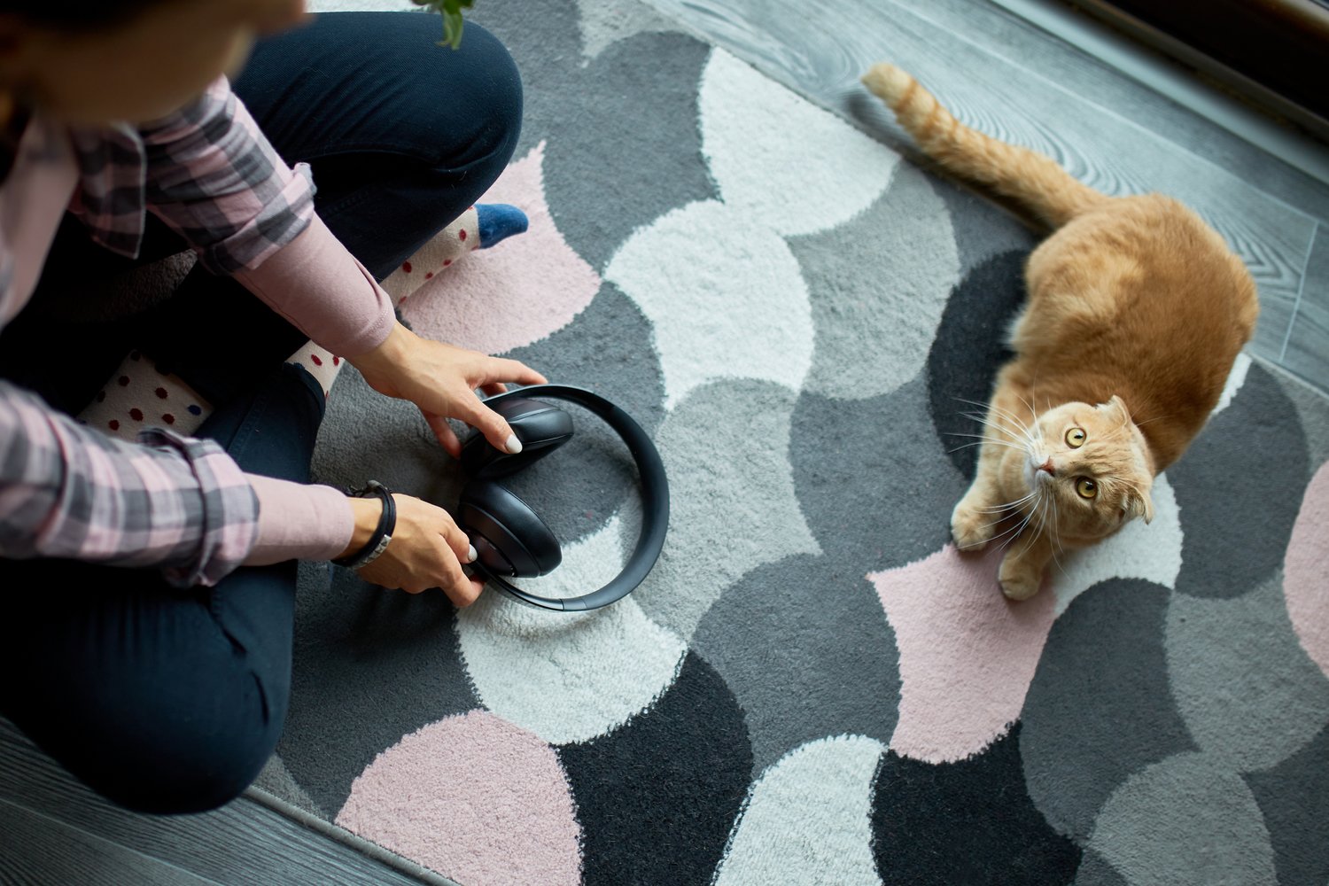 Electric Pet Door Not Responding? Sensor and Power Supply Troubleshooting