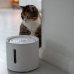 Electric Pet Feeder Malfunctions: Timer and Dispensing Mechanism Solutions