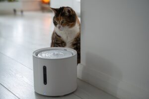 Electric Pet Feeder Malfunctions: Timer and Dispensing Mechanism Solutions