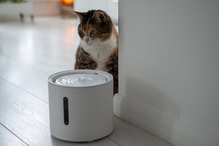 Electric Pet Feeder Malfunctions: Timer and Dispensing Mechanism Solutions