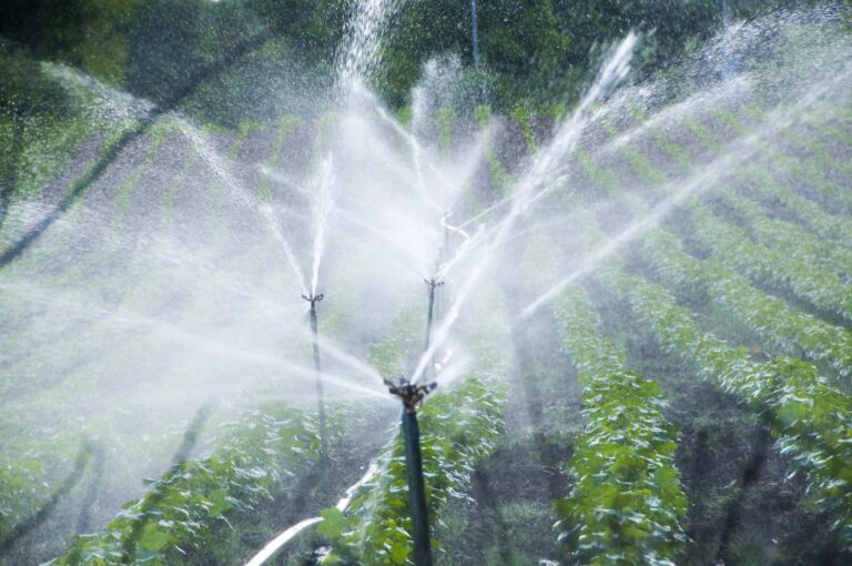 Smart Irrigation System Failures: Valve Control and Schedule Solutions